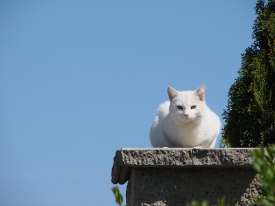 163_dsc04587